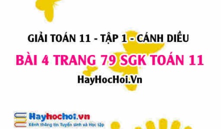 Giải bài 4 trang 79 Toán 11 tập 1 SGK Cánh Diều